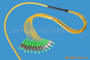 寧波緯誠網(wǎng)絡(luò)通信科技光纖跳線產(chǎn)品全覽